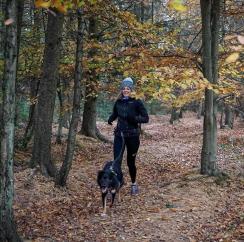 Hitting the Trails - Tips for Trail Running Beginners